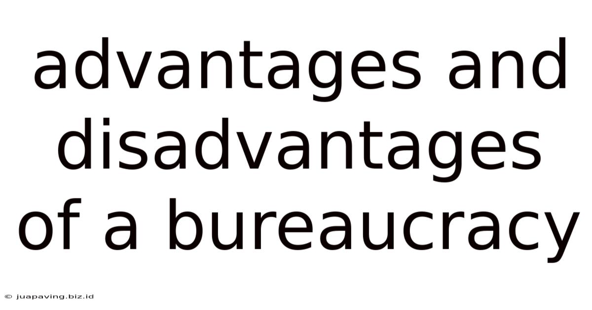Advantages And Disadvantages Of A Bureaucracy