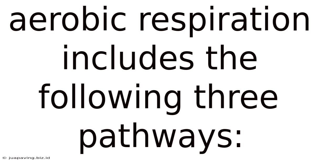 Aerobic Respiration Includes The Following Three Pathways: