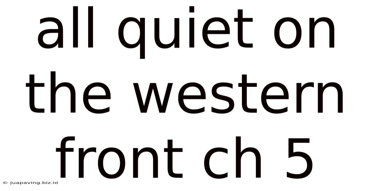 All Quiet On The Western Front Ch 5