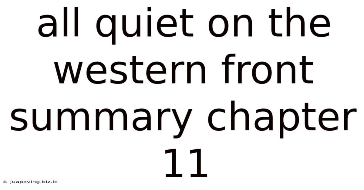 All Quiet On The Western Front Summary Chapter 11