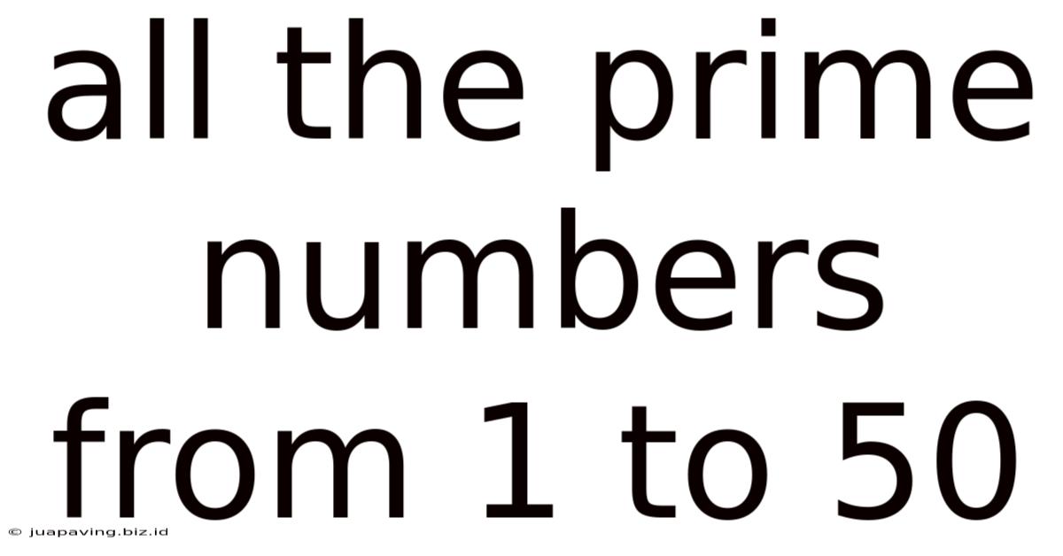 All The Prime Numbers From 1 To 50