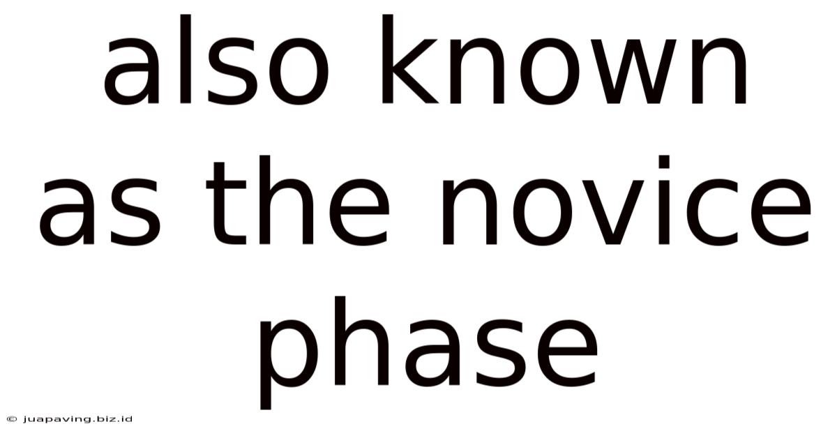 Also Known As The Novice Phase