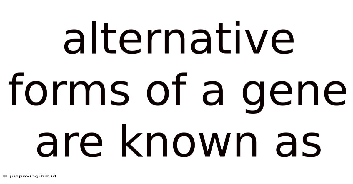 Alternative Forms Of A Gene Are Known As