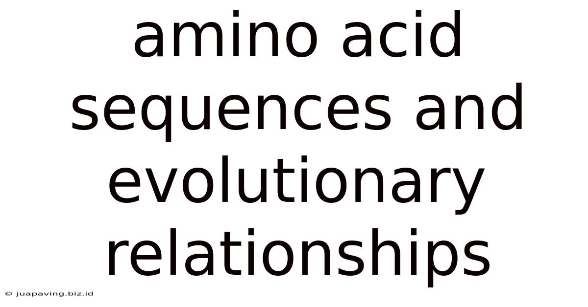 Amino Acid Sequences And Evolutionary Relationships