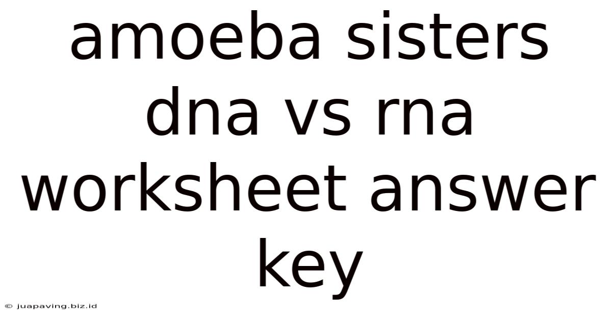 Amoeba Sisters Dna Vs Rna Worksheet Answer Key