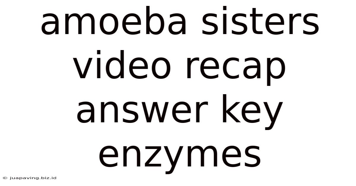 Amoeba Sisters Video Recap Answer Key Enzymes