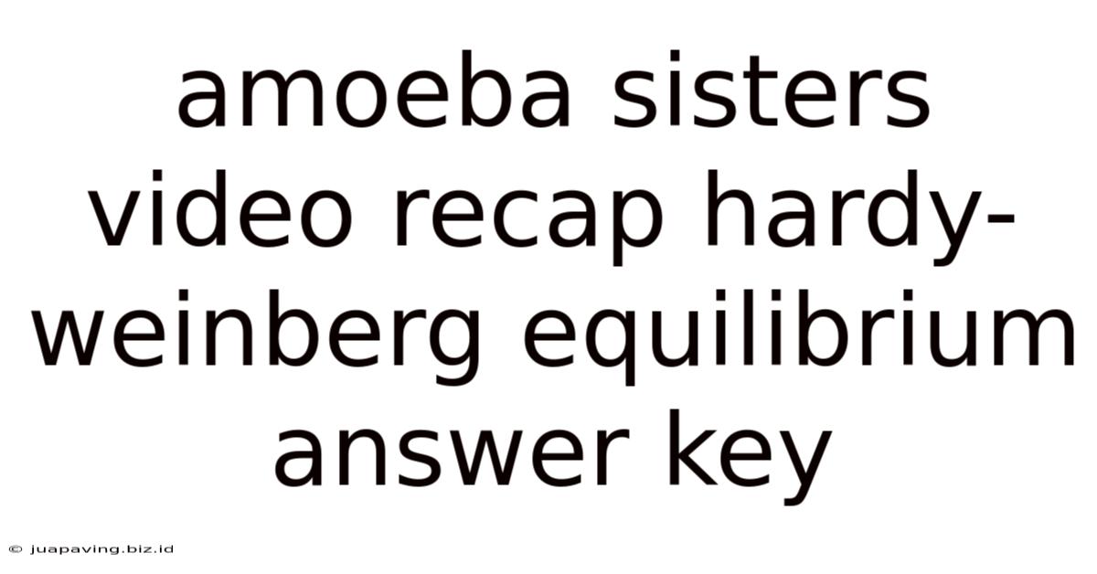 Amoeba Sisters Video Recap Hardy-weinberg Equilibrium Answer Key