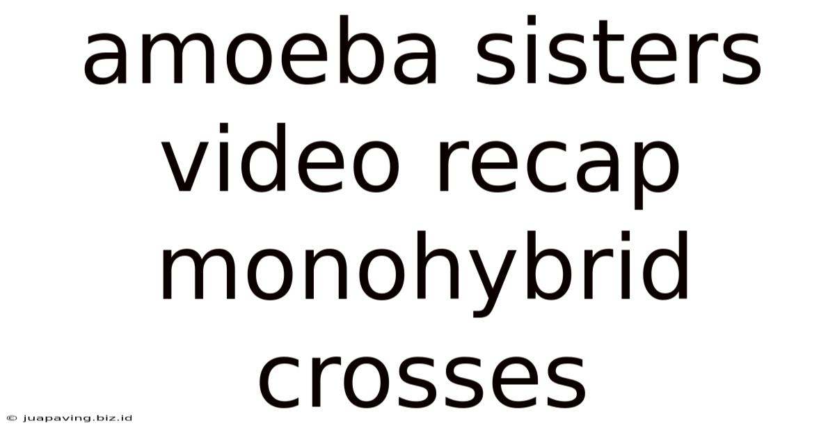 Amoeba Sisters Video Recap Monohybrid Crosses