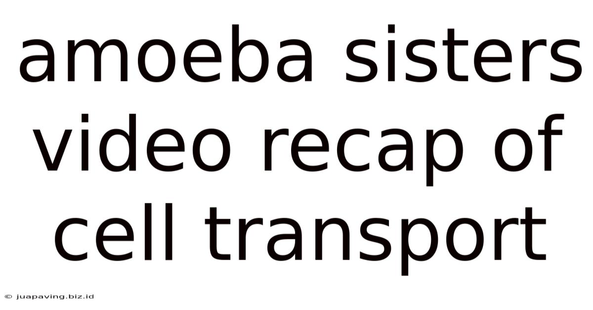 Amoeba Sisters Video Recap Of Cell Transport