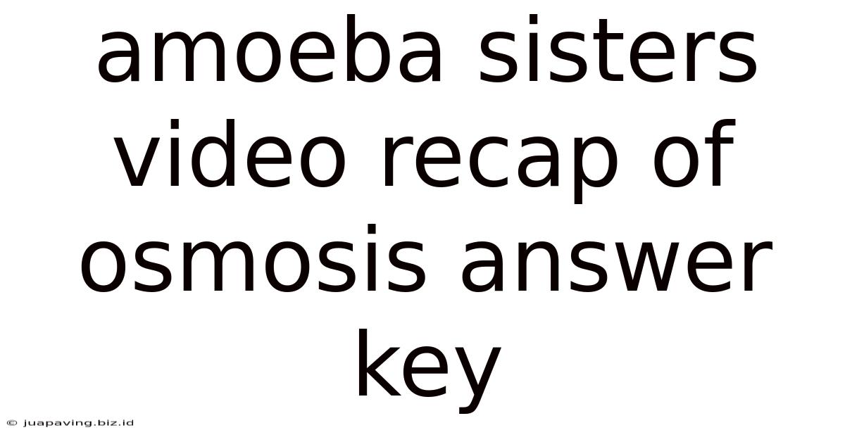 Amoeba Sisters Video Recap Of Osmosis Answer Key