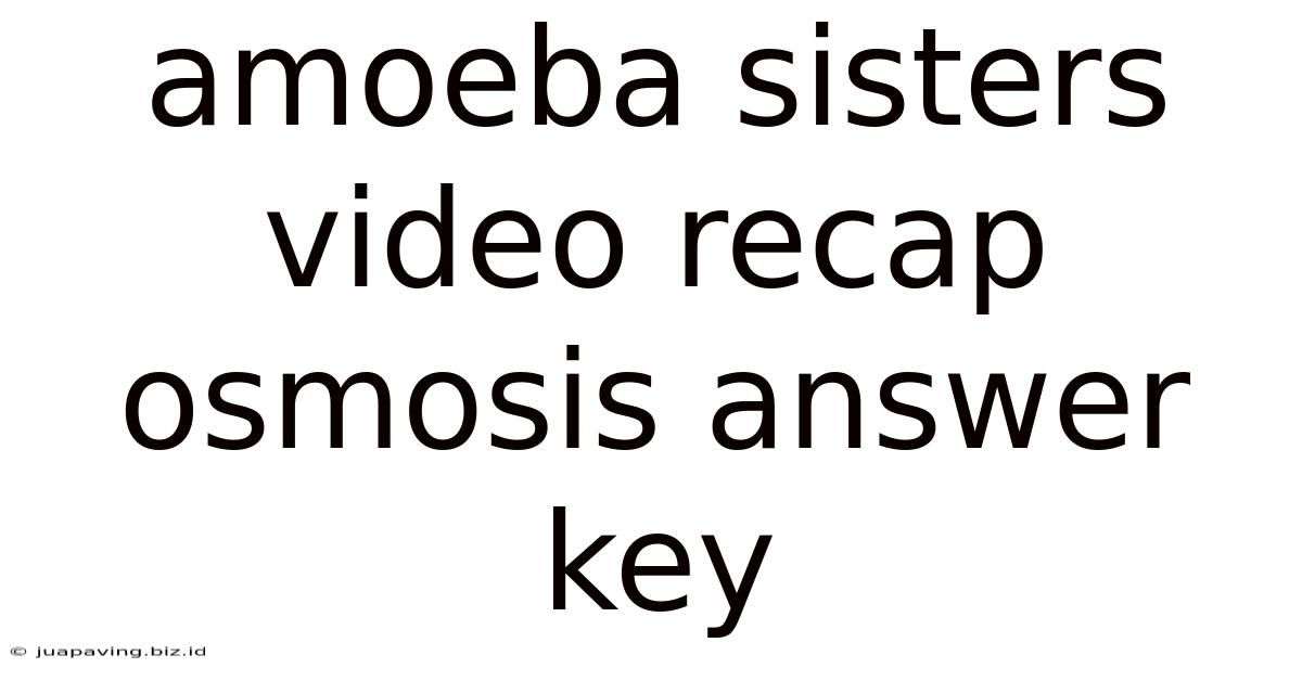 Amoeba Sisters Video Recap Osmosis Answer Key
