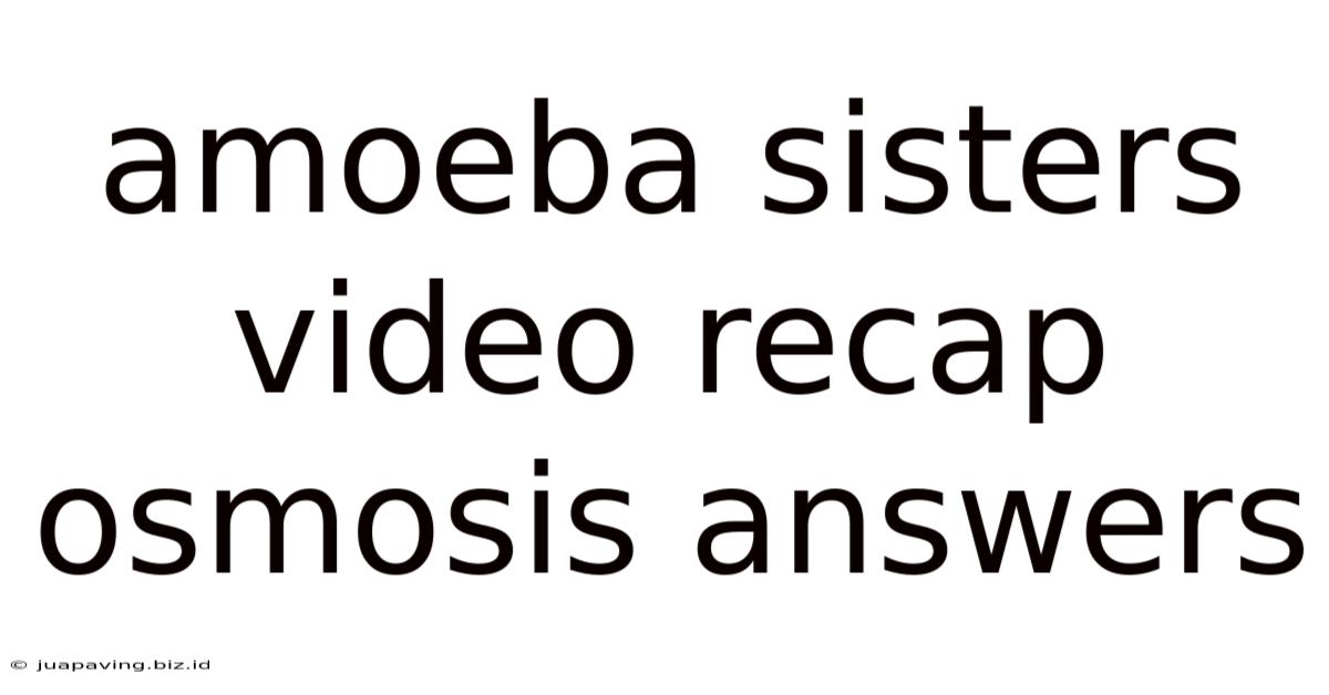 Amoeba Sisters Video Recap Osmosis Answers