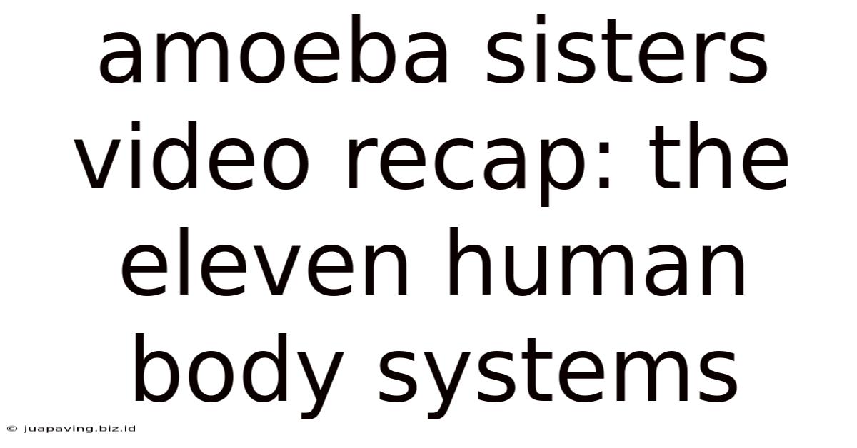 Amoeba Sisters Video Recap: The Eleven Human Body Systems