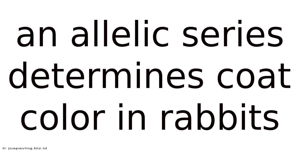 An Allelic Series Determines Coat Color In Rabbits