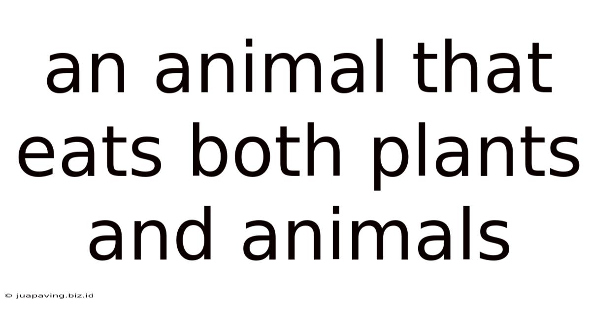 An Animal That Eats Both Plants And Animals
