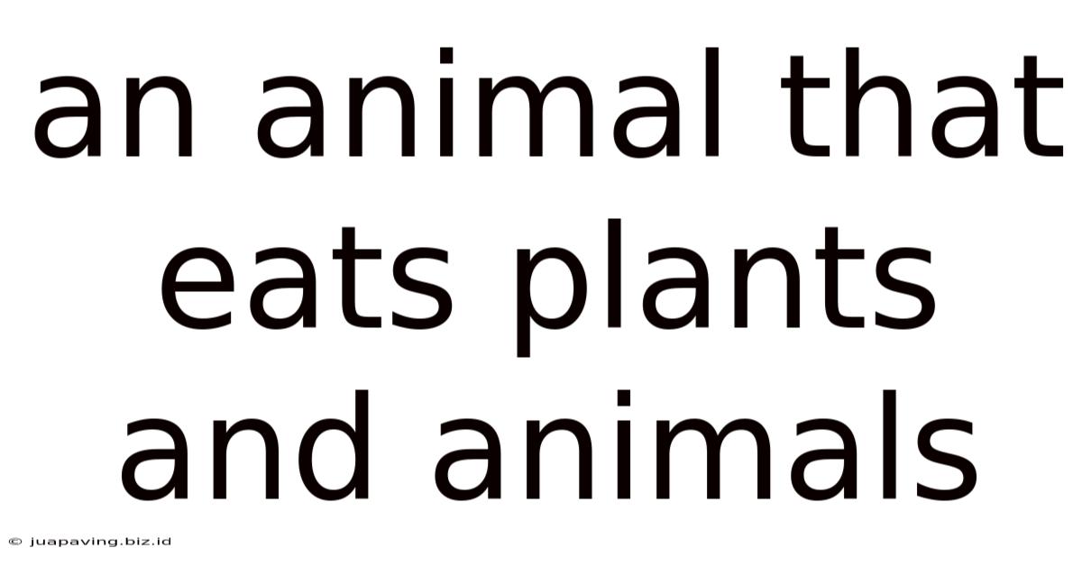 An Animal That Eats Plants And Animals