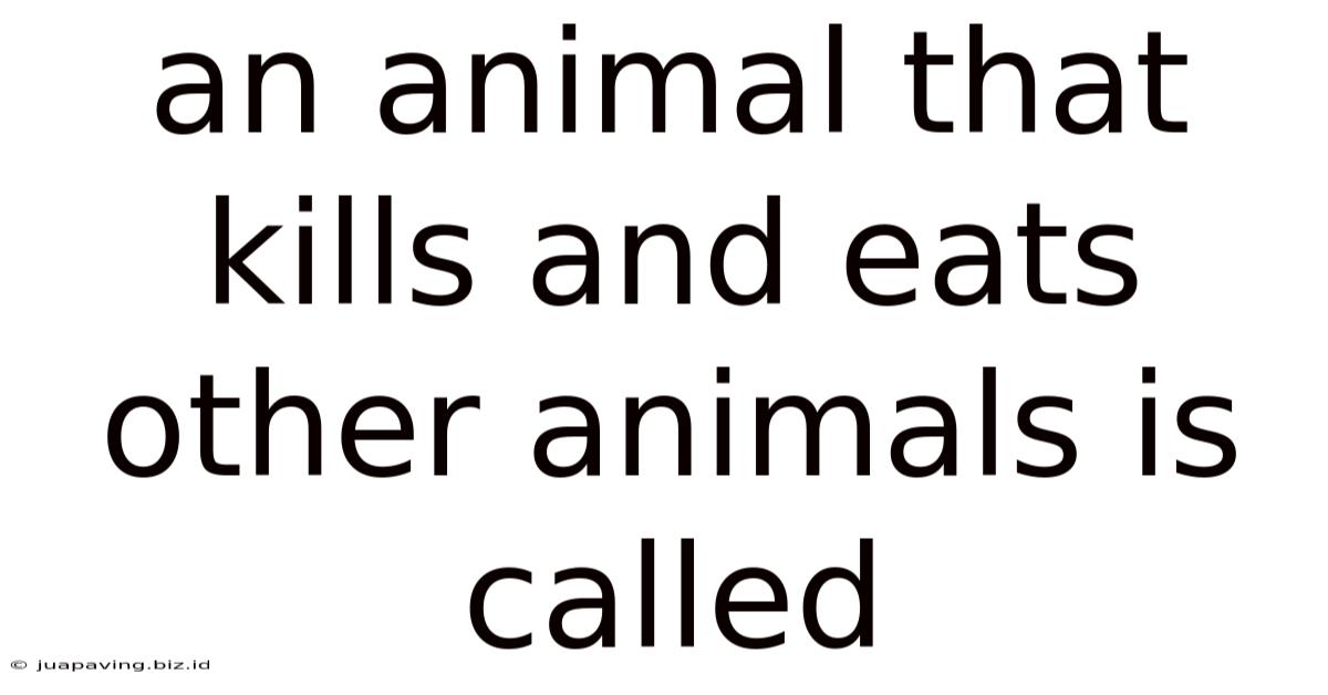 An Animal That Kills And Eats Other Animals Is Called