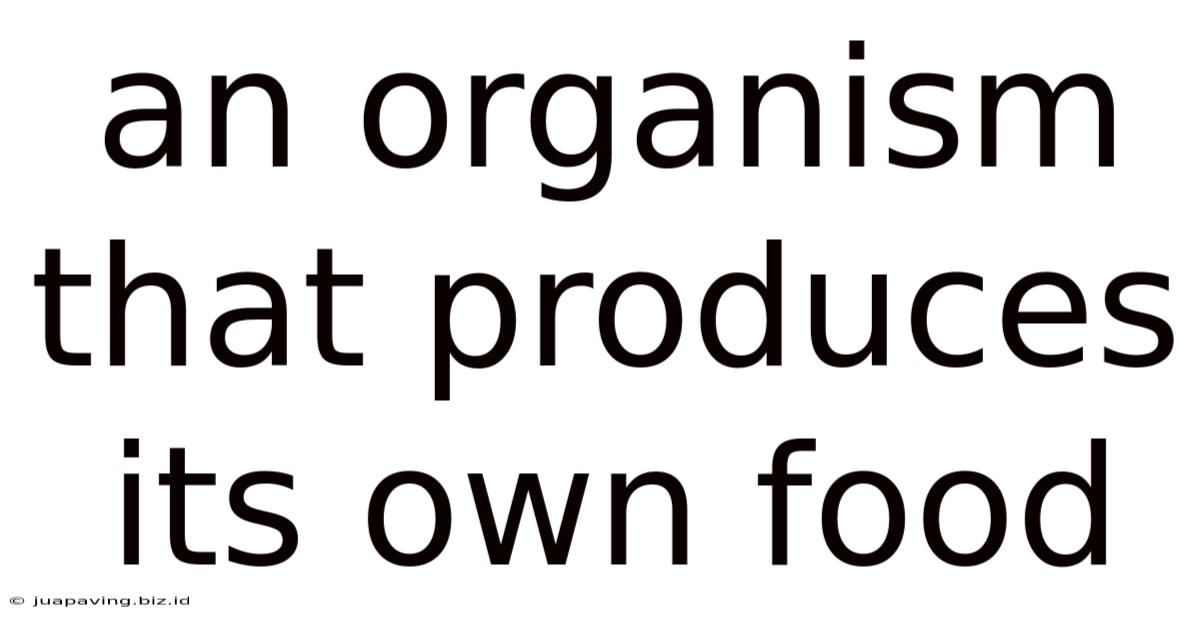 An Organism That Produces Its Own Food