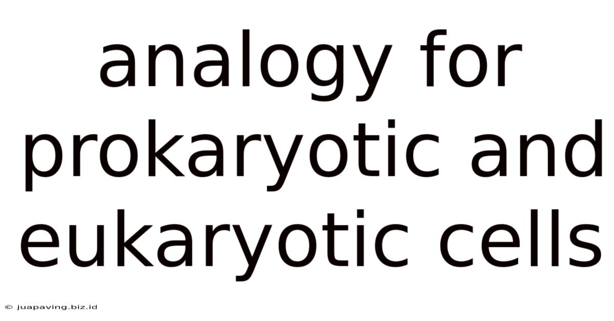 Analogy For Prokaryotic And Eukaryotic Cells