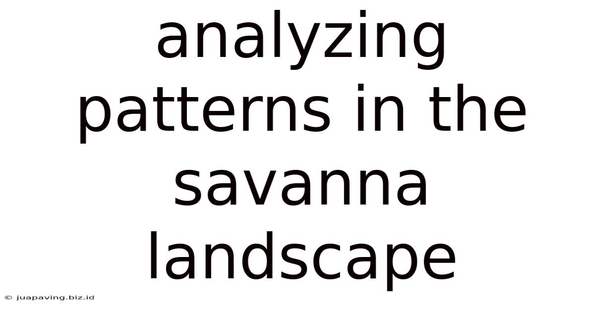 Analyzing Patterns In The Savanna Landscape