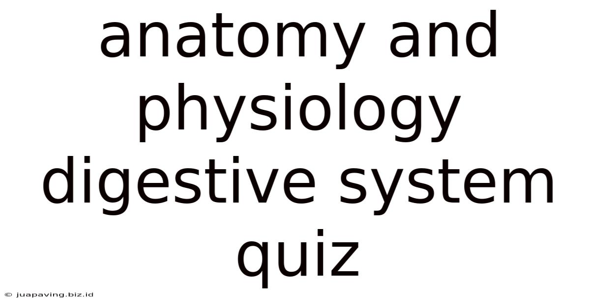 Anatomy And Physiology Digestive System Quiz