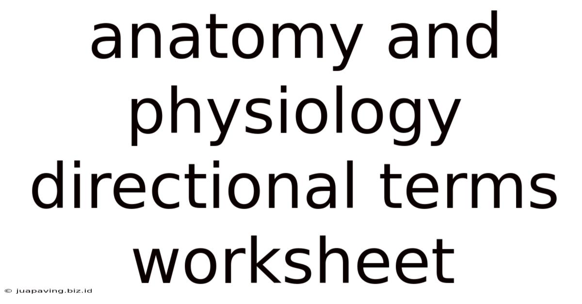 Anatomy And Physiology Directional Terms Worksheet