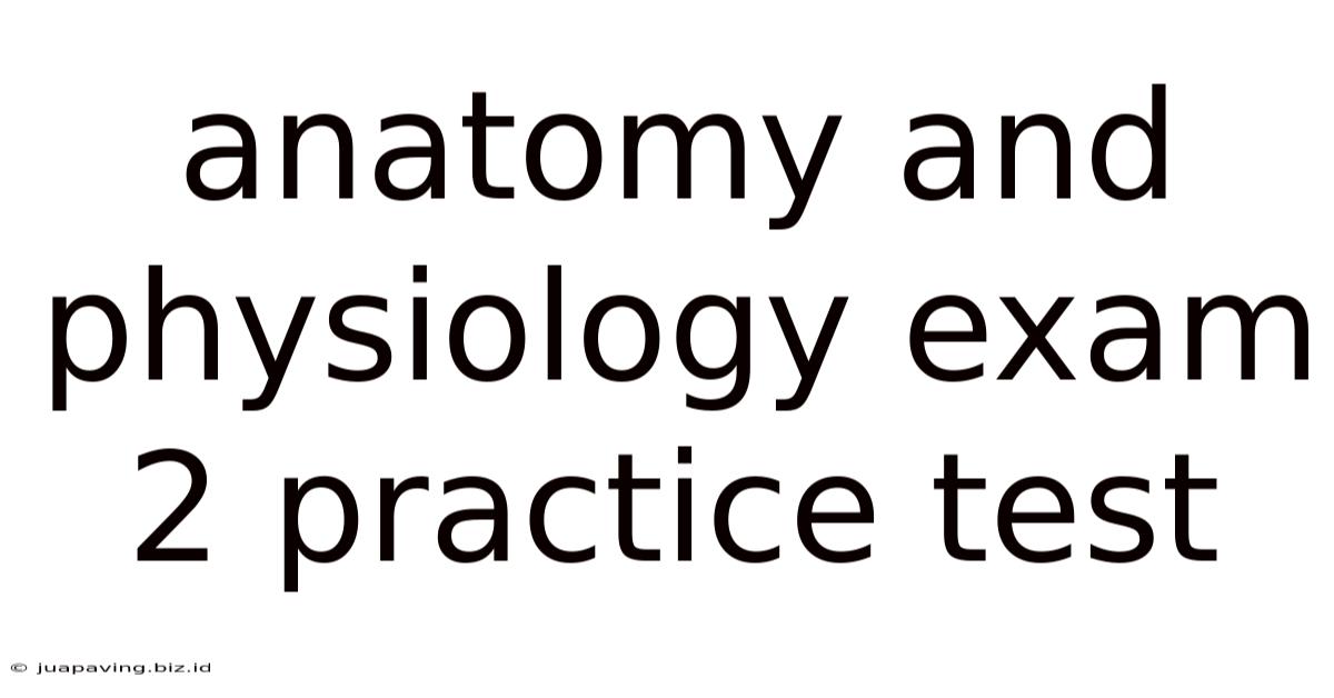Anatomy And Physiology Exam 2 Practice Test