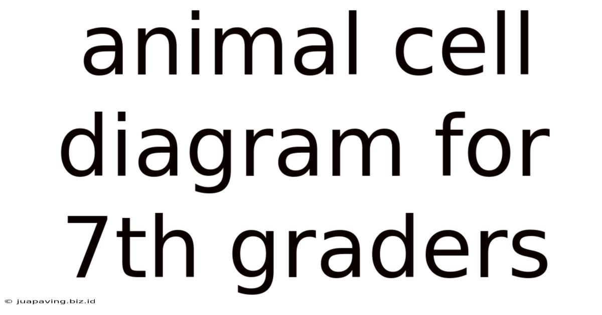 Animal Cell Diagram For 7th Graders