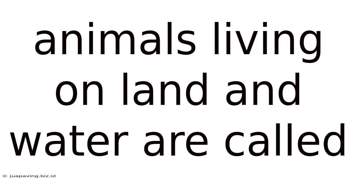 Animals Living On Land And Water Are Called
