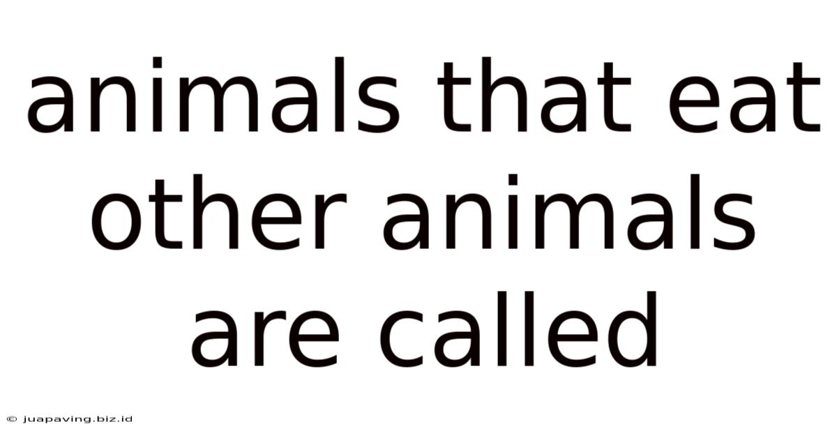 Animals That Eat Other Animals Are Called