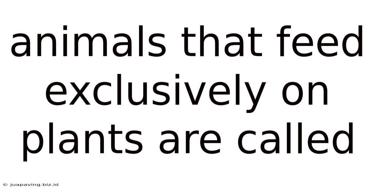 Animals That Feed Exclusively On Plants Are Called