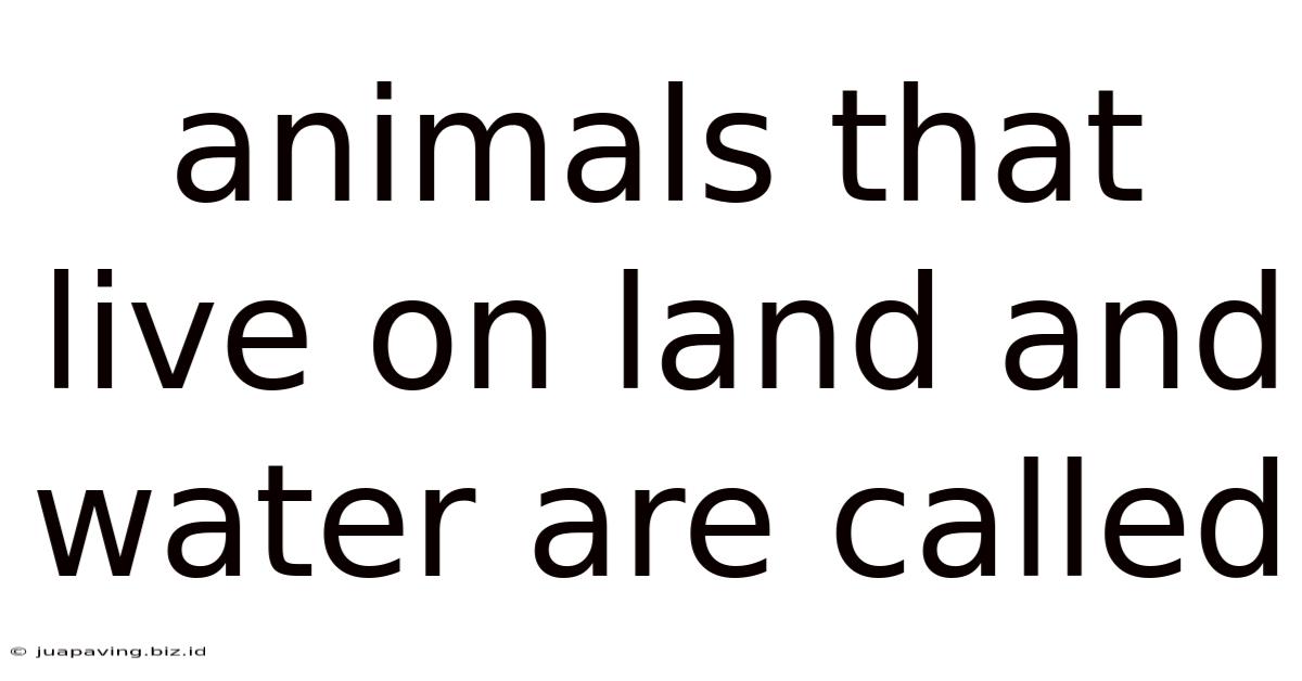 Animals That Live On Land And Water Are Called