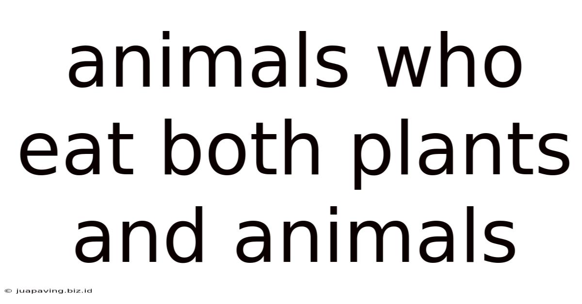 Animals Who Eat Both Plants And Animals