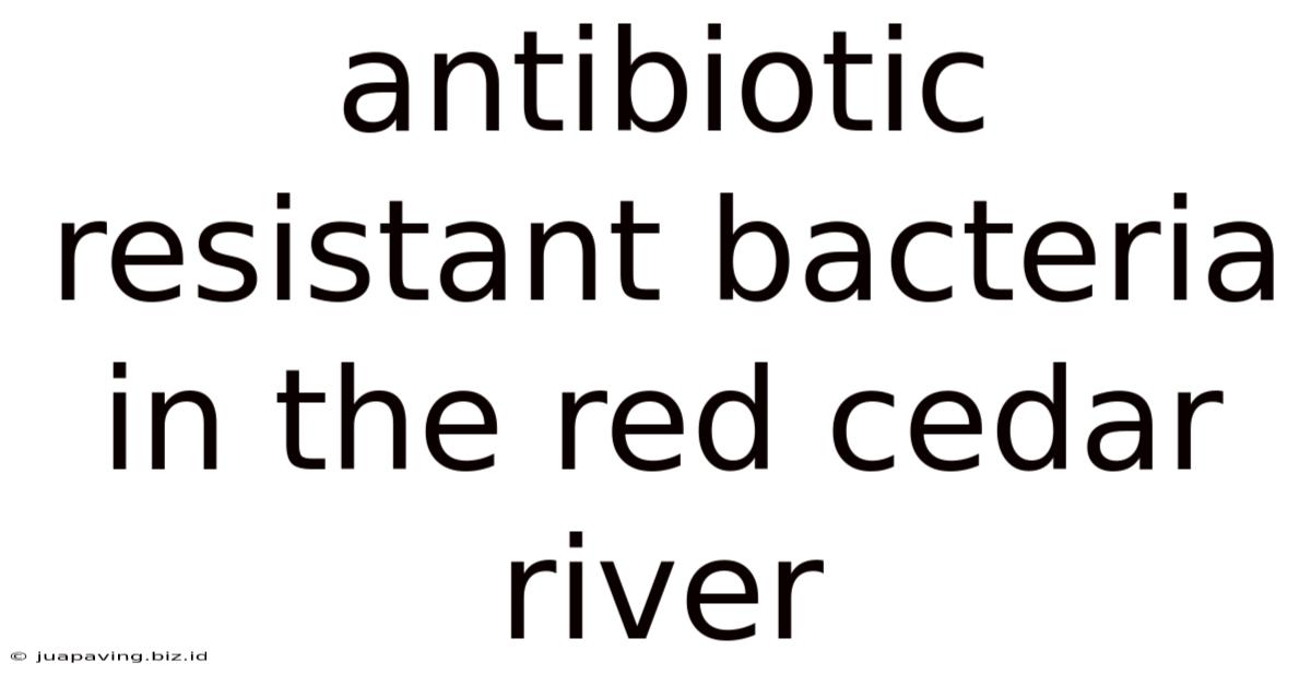 Antibiotic Resistant Bacteria In The Red Cedar River