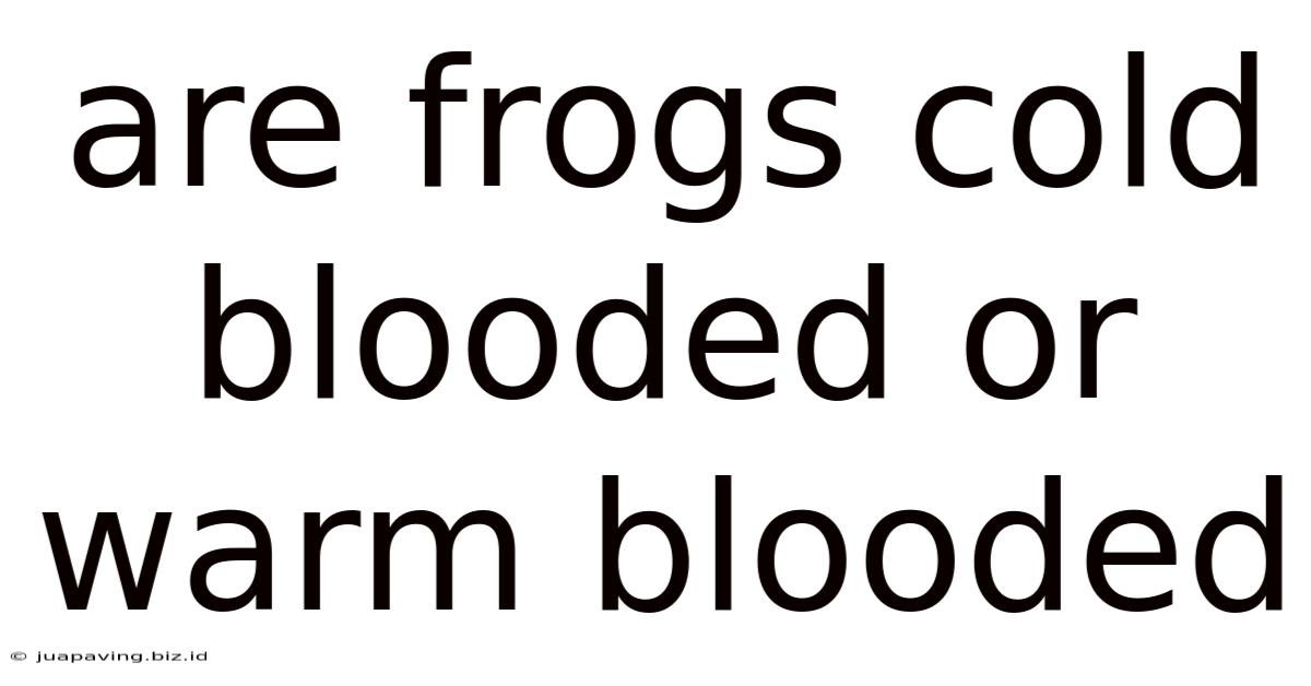 Are Frogs Cold Blooded Or Warm Blooded