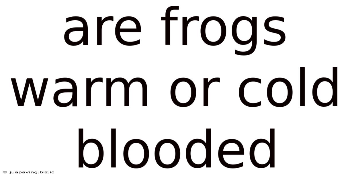 Are Frogs Warm Or Cold Blooded