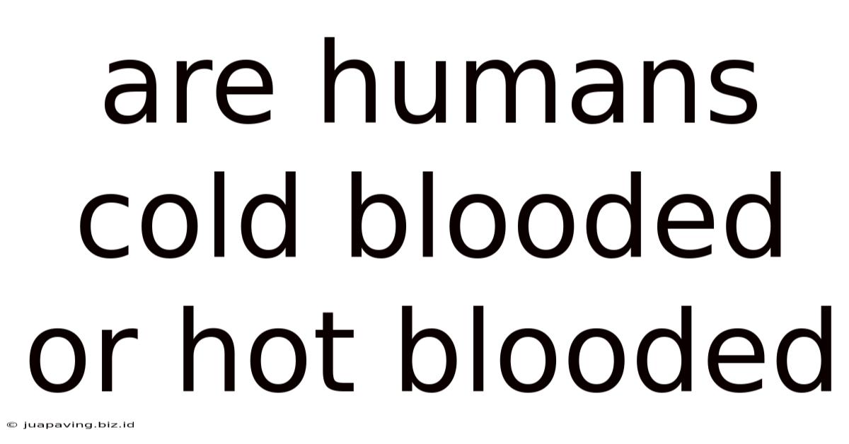 Are Humans Cold Blooded Or Hot Blooded