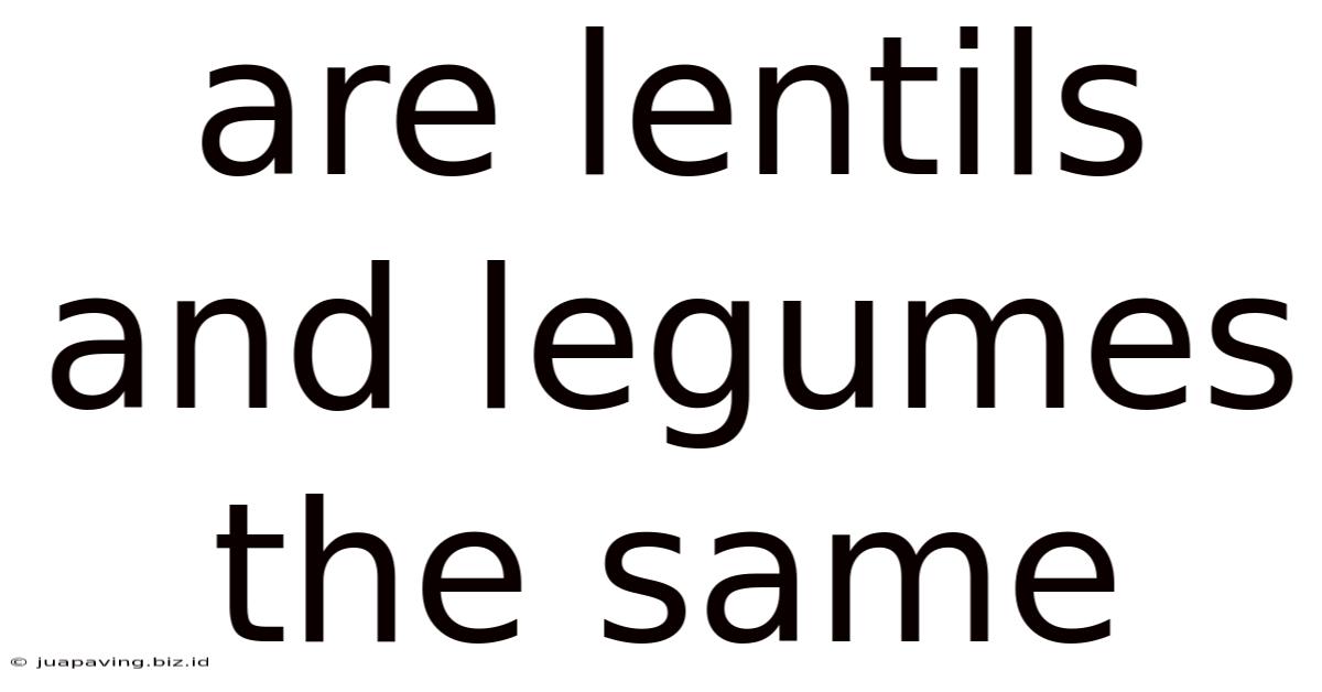 Are Lentils And Legumes The Same