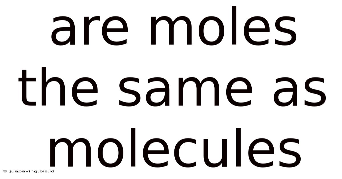 Are Moles The Same As Molecules