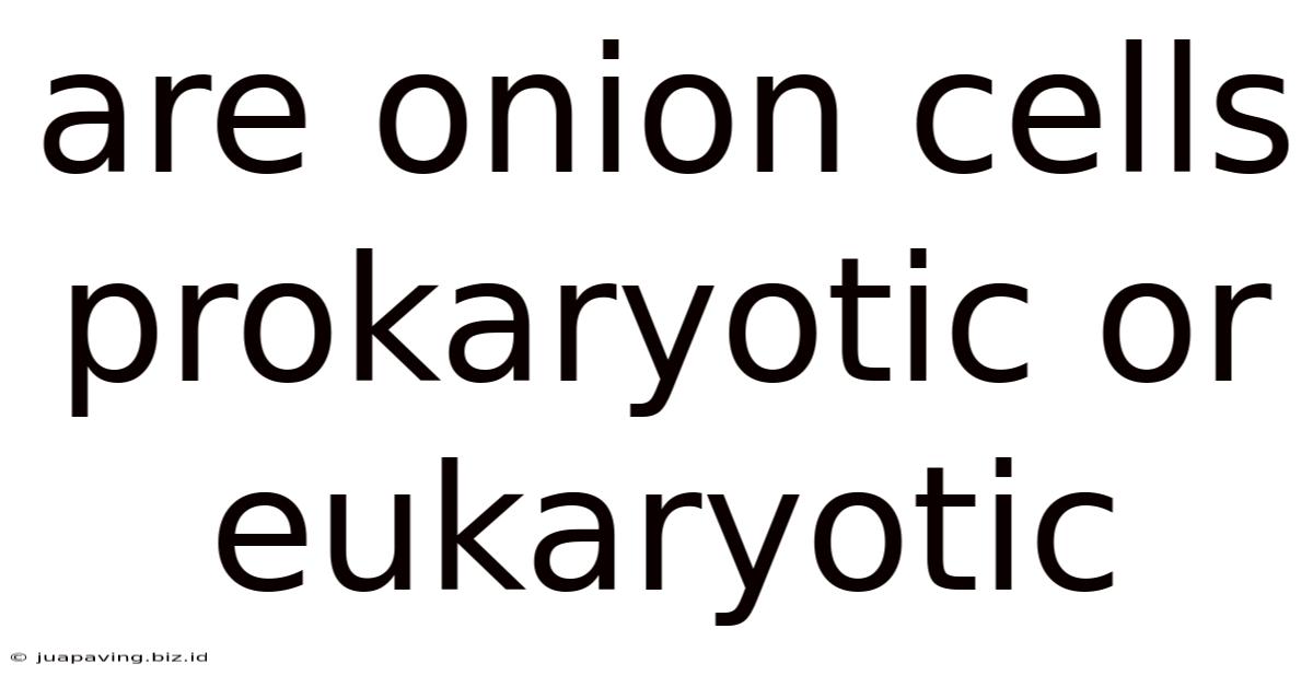 Are Onion Cells Prokaryotic Or Eukaryotic