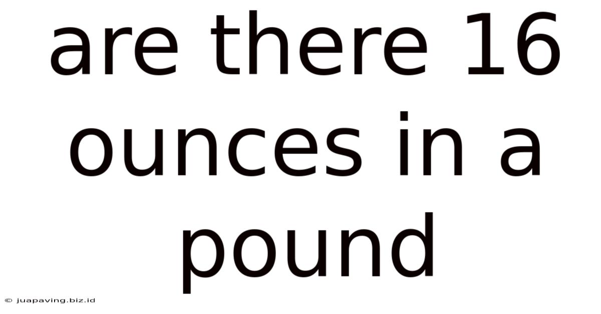 Are There 16 Ounces In A Pound