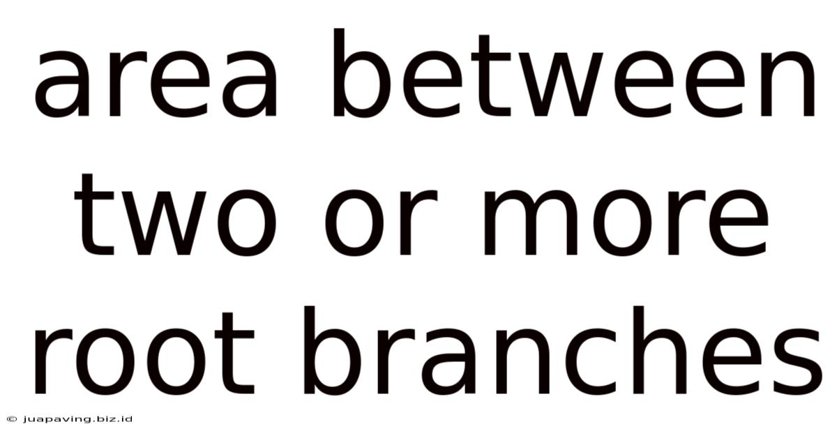 Area Between Two Or More Root Branches