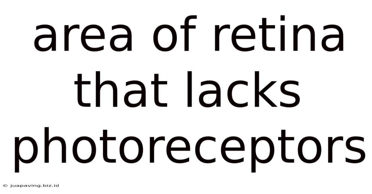Area Of Retina That Lacks Photoreceptors