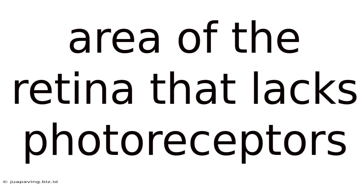 Area Of The Retina That Lacks Photoreceptors