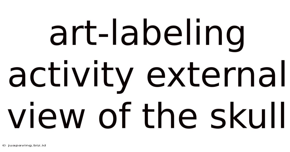 Art-labeling Activity External View Of The Skull