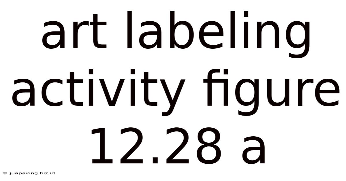 Art Labeling Activity Figure 12.28 A