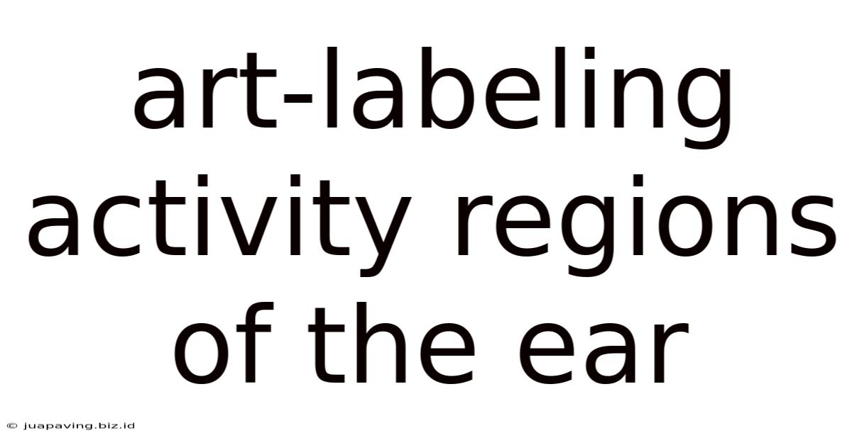Art-labeling Activity Regions Of The Ear