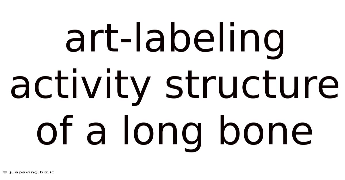 Art-labeling Activity Structure Of A Long Bone