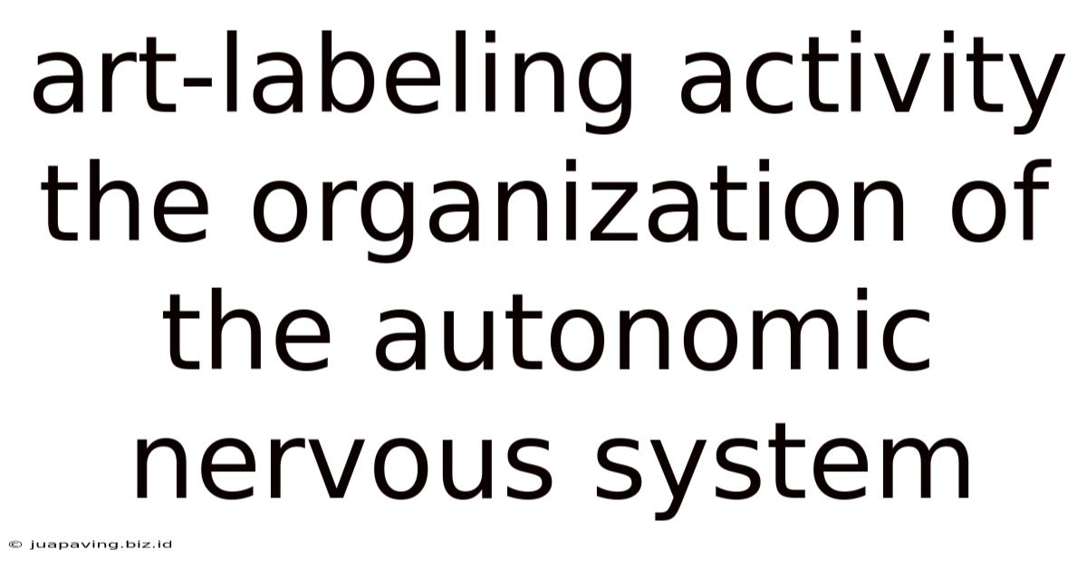 Art-labeling Activity The Organization Of The Autonomic Nervous System