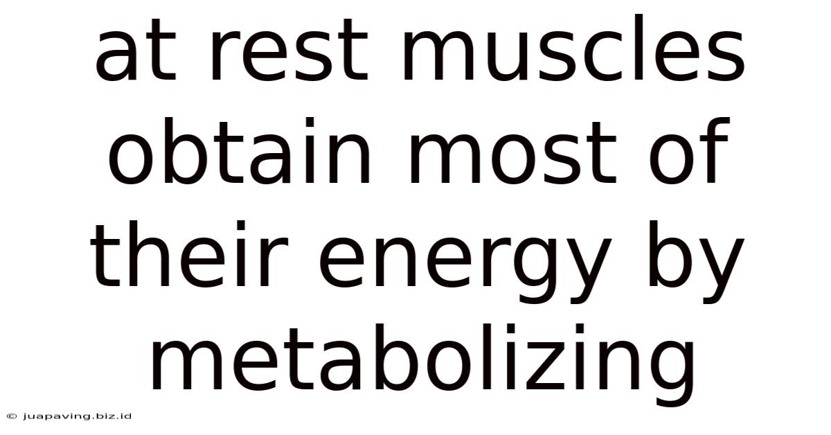 At Rest Muscles Obtain Most Of Their Energy By Metabolizing